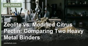 Zeolite vs. Modified Citrus Pectin: Comparing Two Heavy Metal Binders